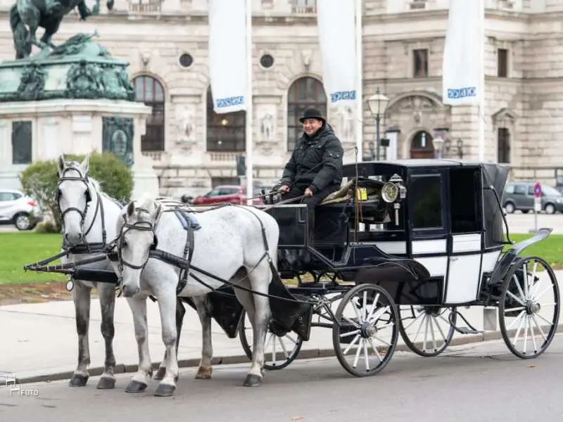 GUTSCHEIN Route 2: Innenstadt - 60 Min.