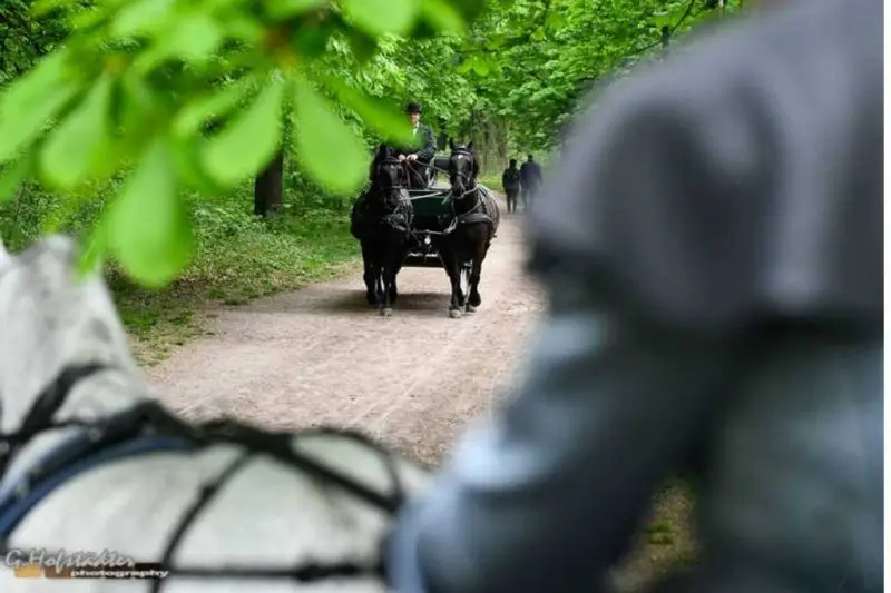 Route 8: Innenstadt zum Lusthaus und retour 2,5 Std. -150 Min.